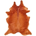Alfombra Small Color Medium Cafe Bartlett