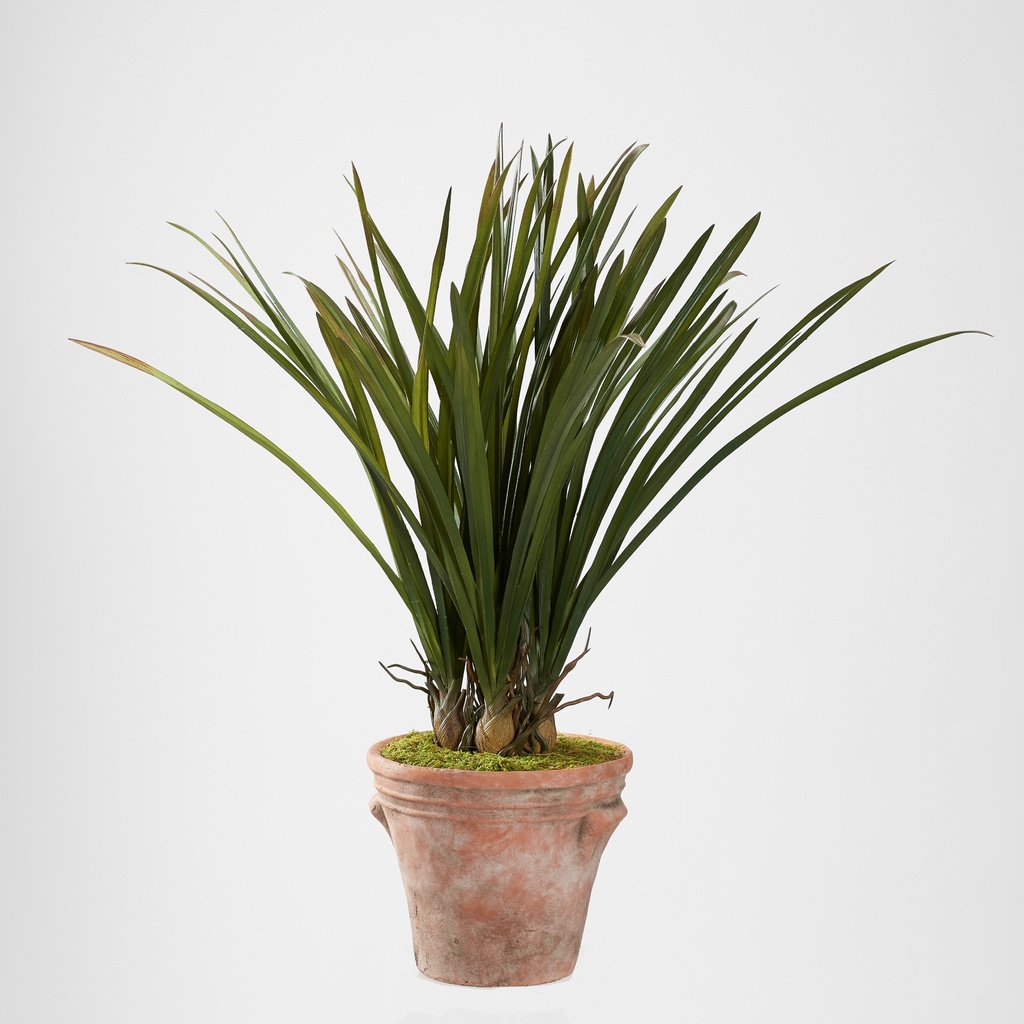 PLANTA DE PLASTICO ARECA CON MACETA TERRACOTA