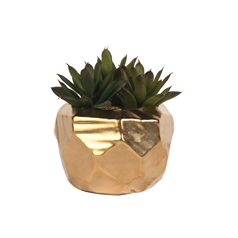 PLANTA DE PLASTICO ECHEVERRIA CON BASE GEOMETRICA ORO