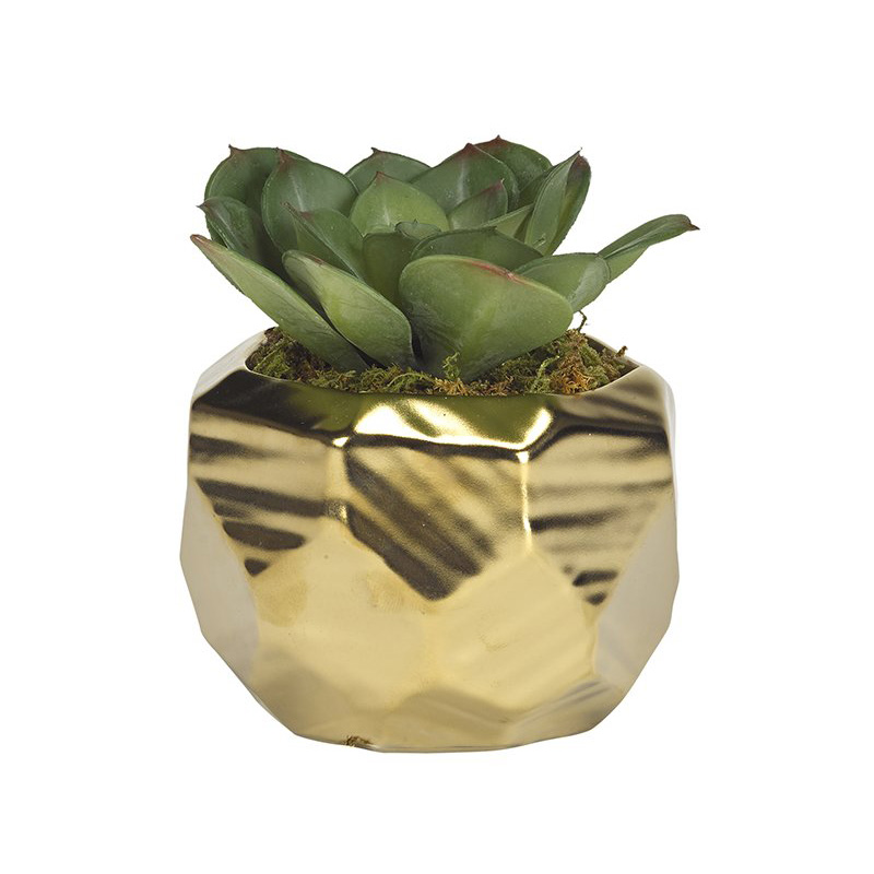 PLANTA DE PLASTICO ECEVERRIA CON BASE GEOMETRICA ORO