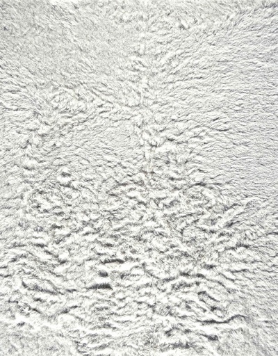 [154077 | 79454] Alfombra (2.133 - 0.254)M Color Snow Harlington