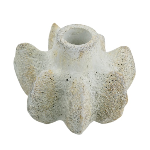 [151339 | 460262] PORTA VELA DE CERAMICA BLANCO TIPO CORAL PEQUEÑO